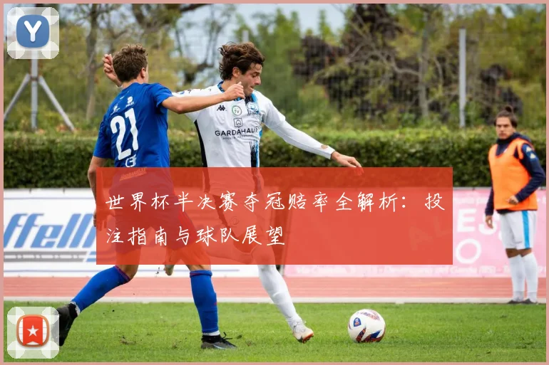 世界杯半决赛夺冠赔率全解析:投注指南与球队展望