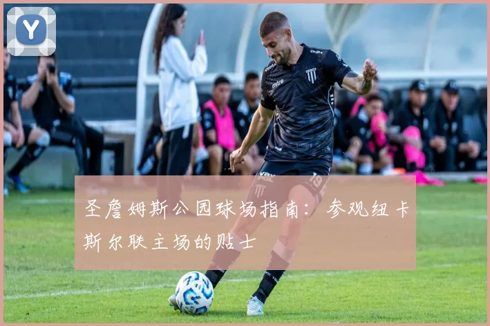圣詹姆斯公园球场指南:参观纽卡斯尔联主场的贴士